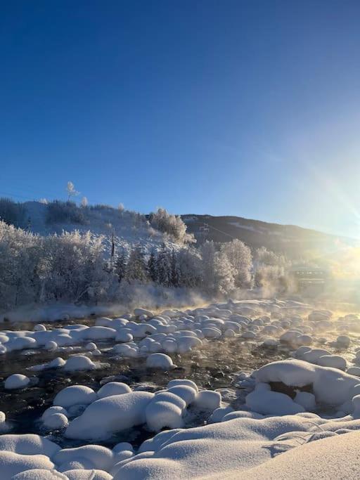 Delikat Hytte Omgitt Av Hallingdals Vakre Fjell Ål Exterior foto