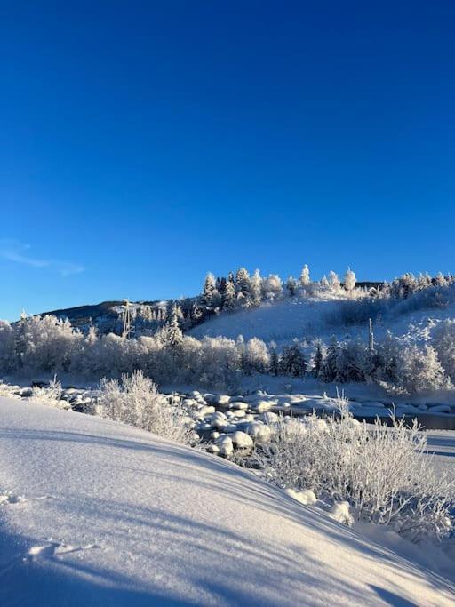 Delikat Hytte Omgitt Av Hallingdals Vakre Fjell Ål Exterior foto