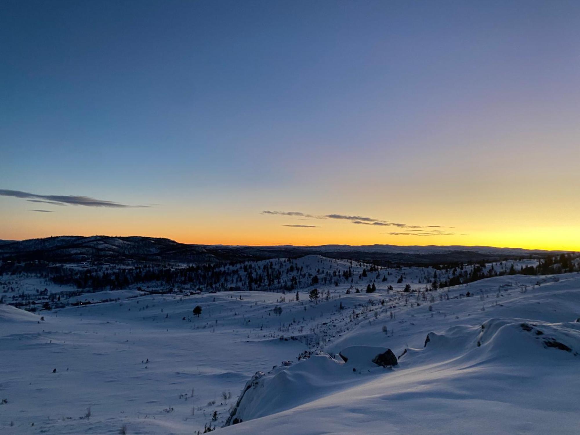 Delikat Hytte Omgitt Av Hallingdals Vakre Fjell Ål Exterior foto
